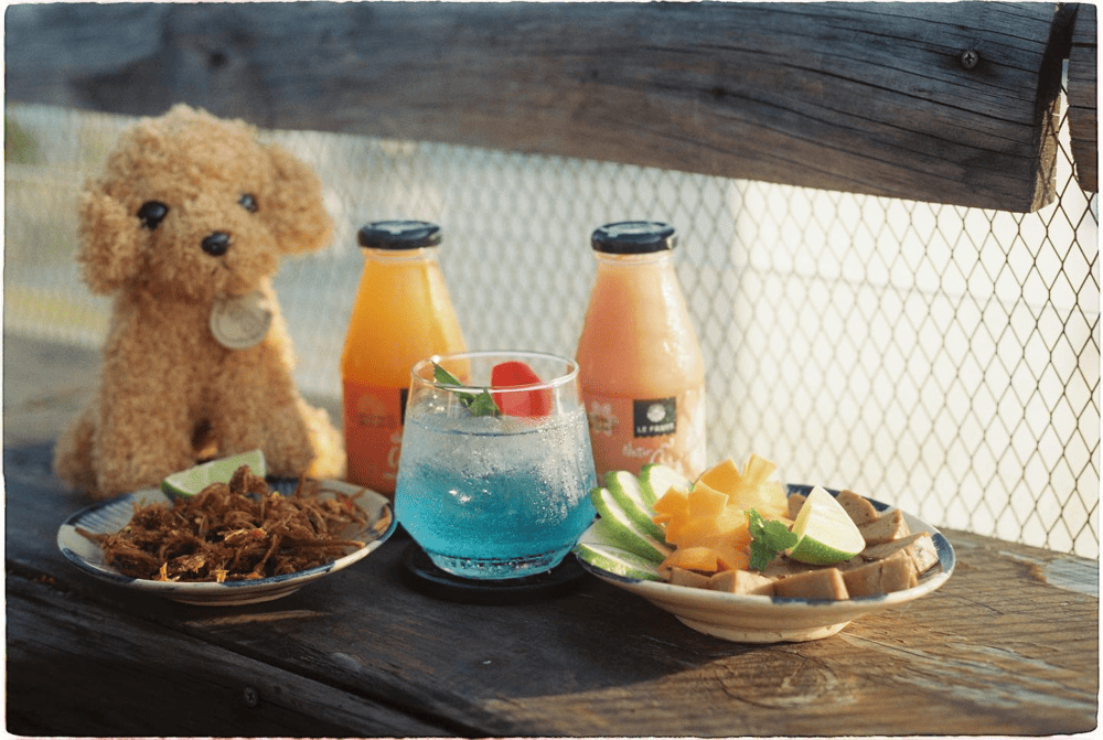 Chenh Venh isn’t just a place for soothing melodies but also a culinary haven with a diverse menu (Source: Chênh Vênh Rooftop)